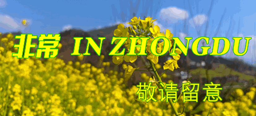 in zhongdu